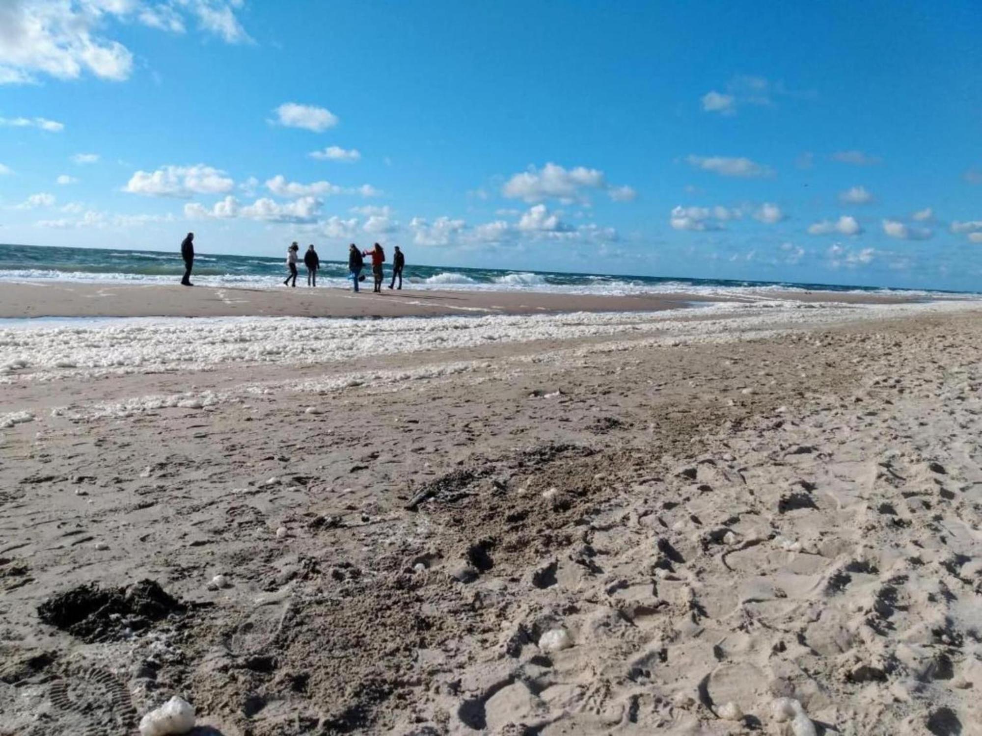 Apartment Hazenborgh Near Coast In קלאנטסהוך מראה חיצוני תמונה